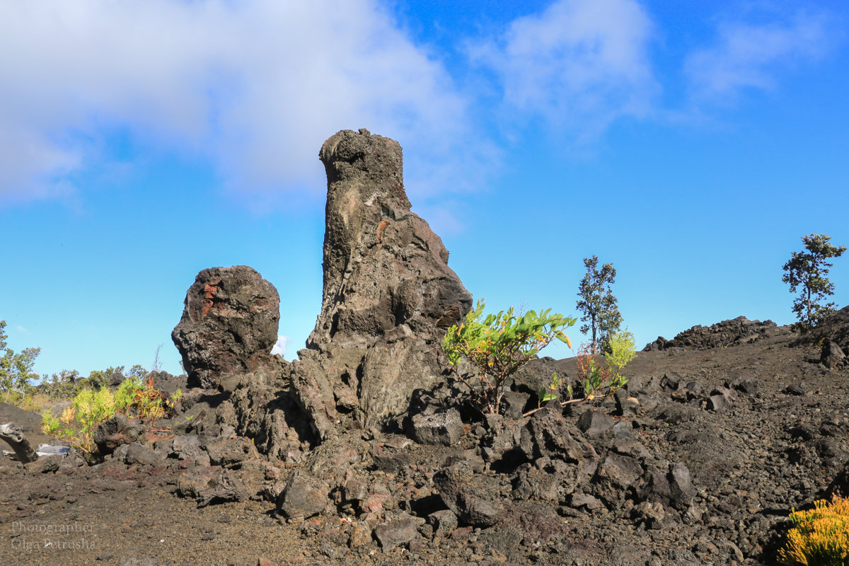 Вулканический столб в виде морды собаки, пробившийся из-под земли, Биг-Айленд, Гавайи. - Ольга Петруша