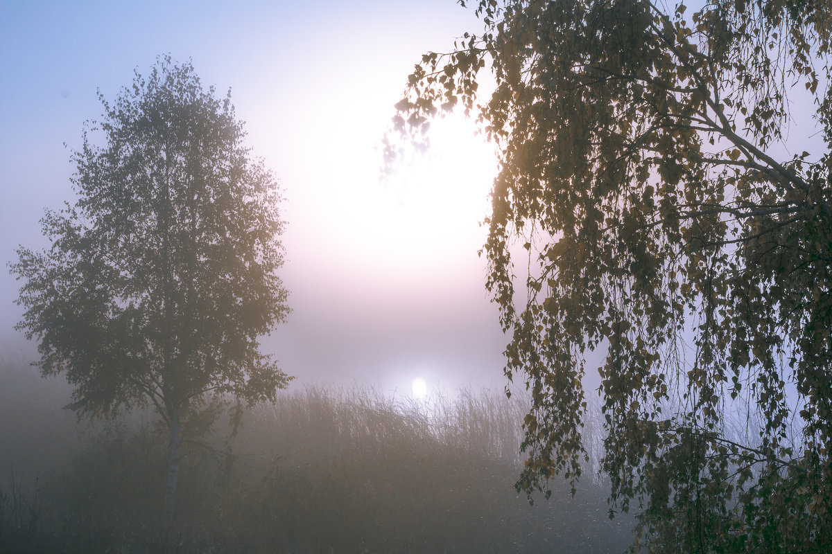 туман на озере - Василий Иваненко