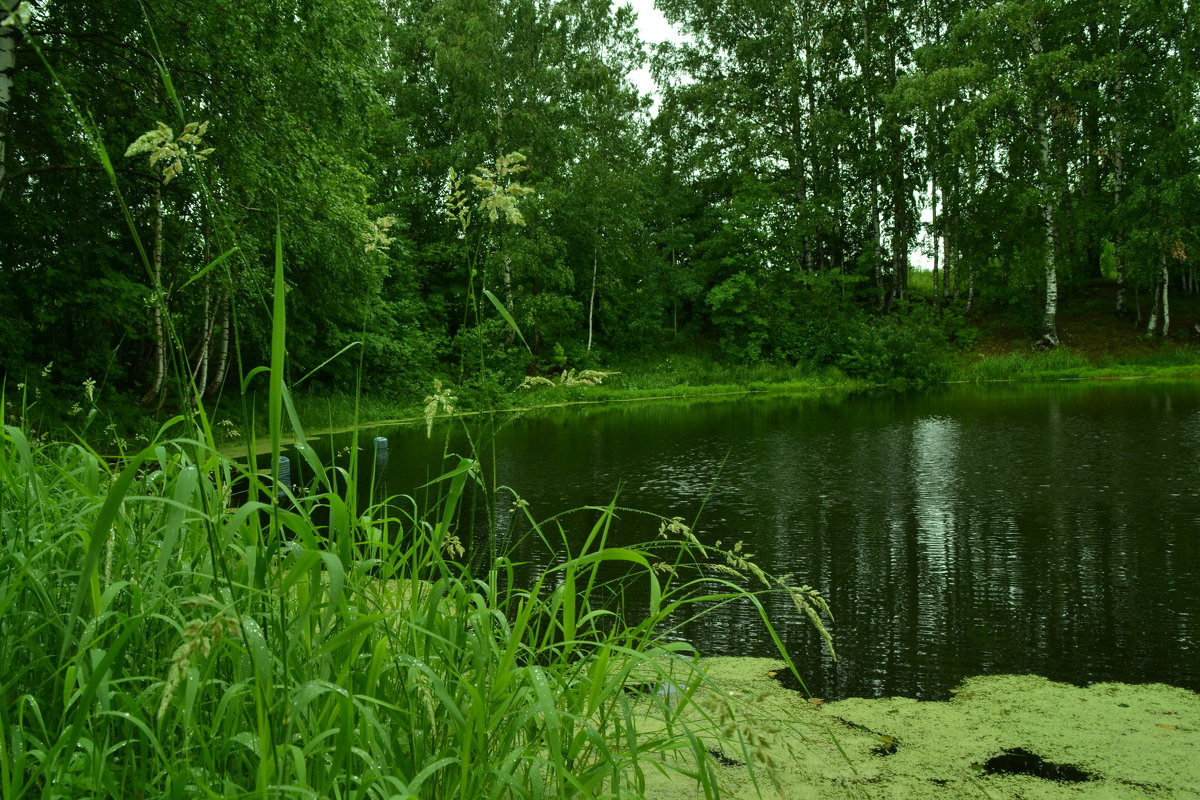 озеро - petyxov петухов