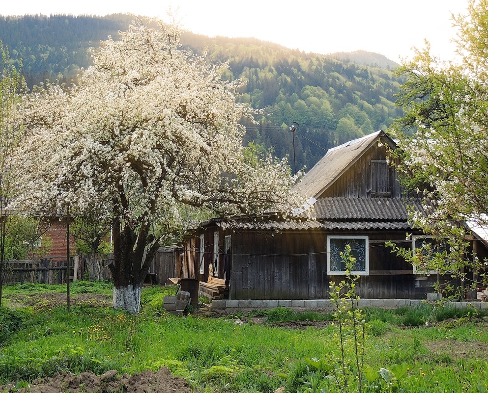 Дом в деревне Весна