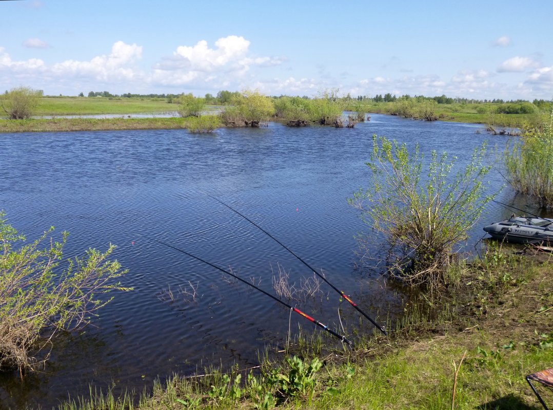 Рыбалка на Малой речке. - Elena Sartakova