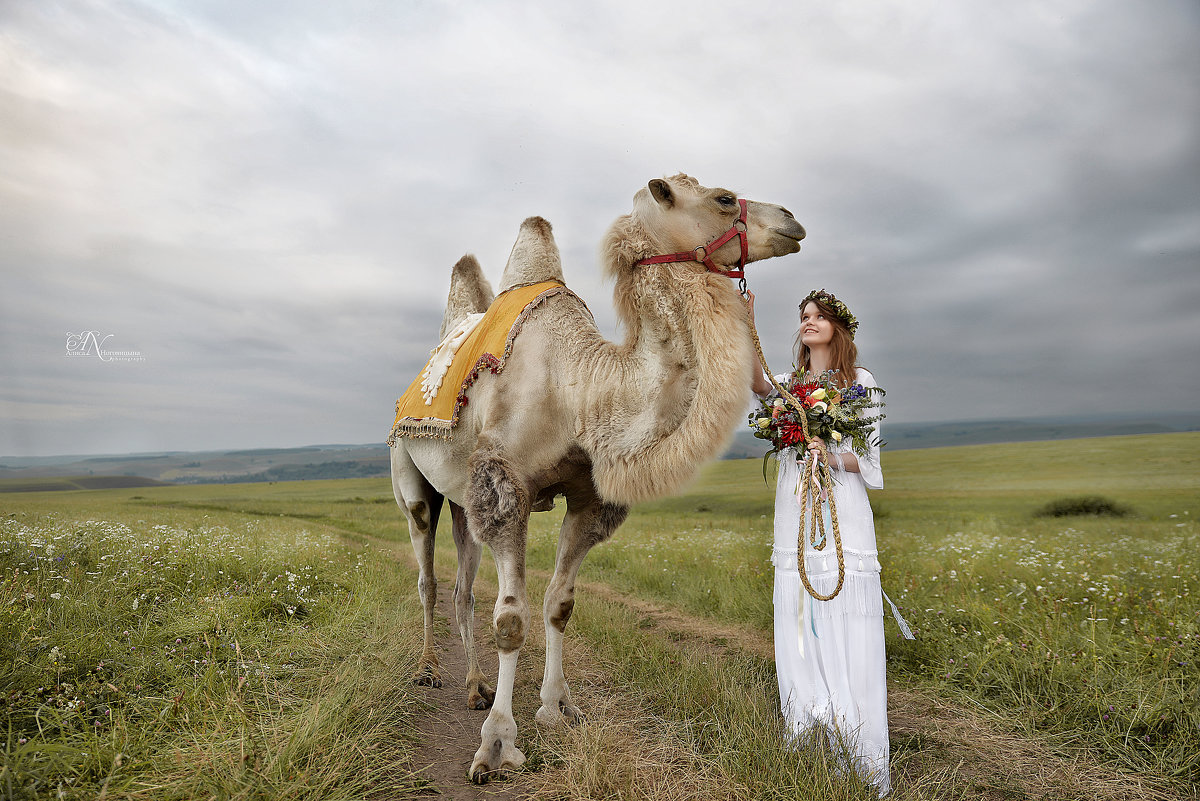 Boho Wedding - Алиса Ноговицына