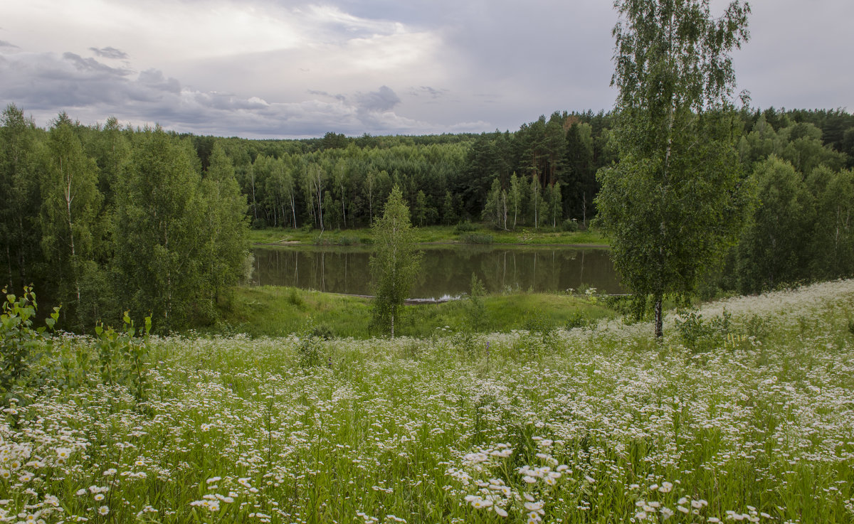На лесном озере - Лариса Березуцкая