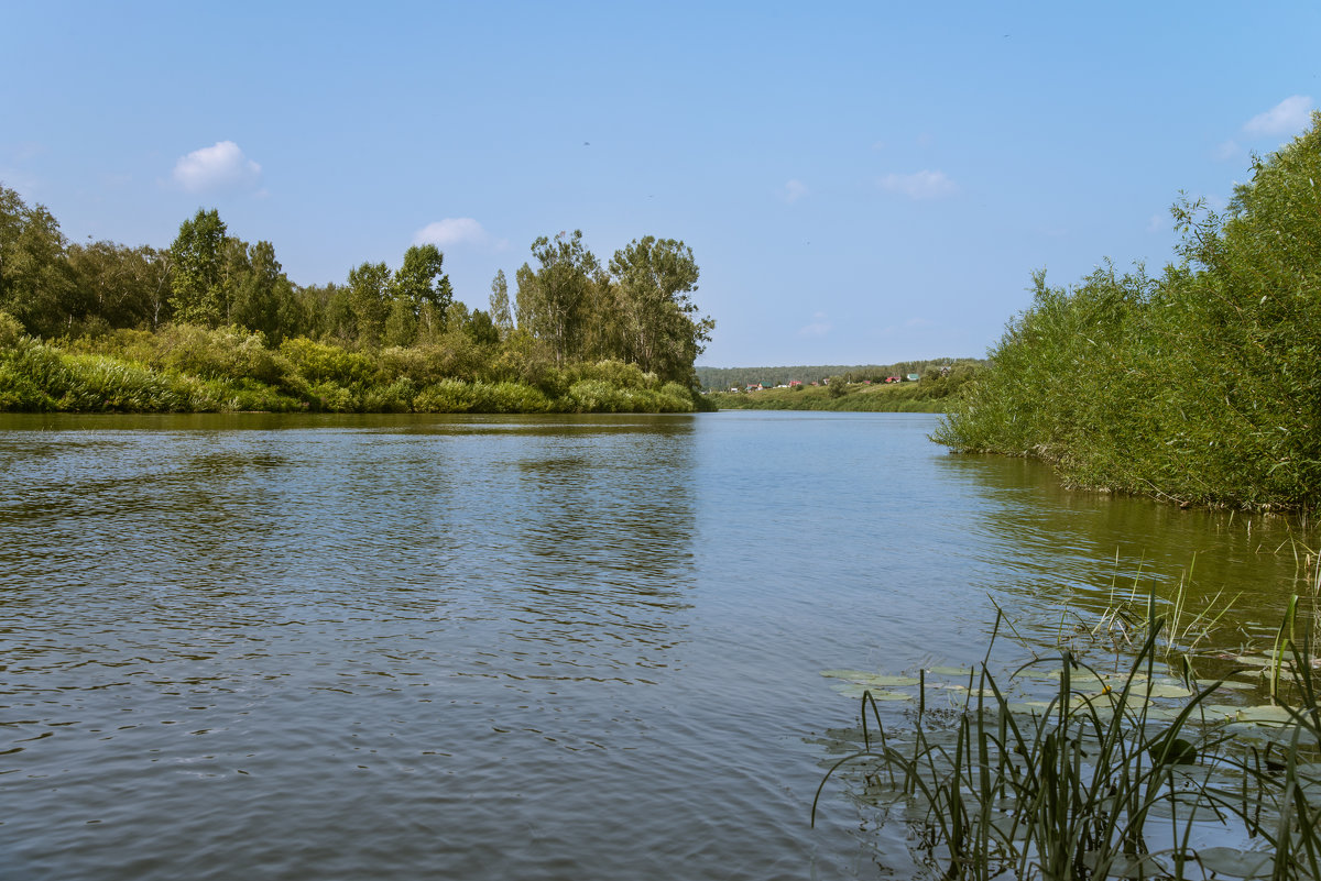 летний полдень на реке - cfysx 