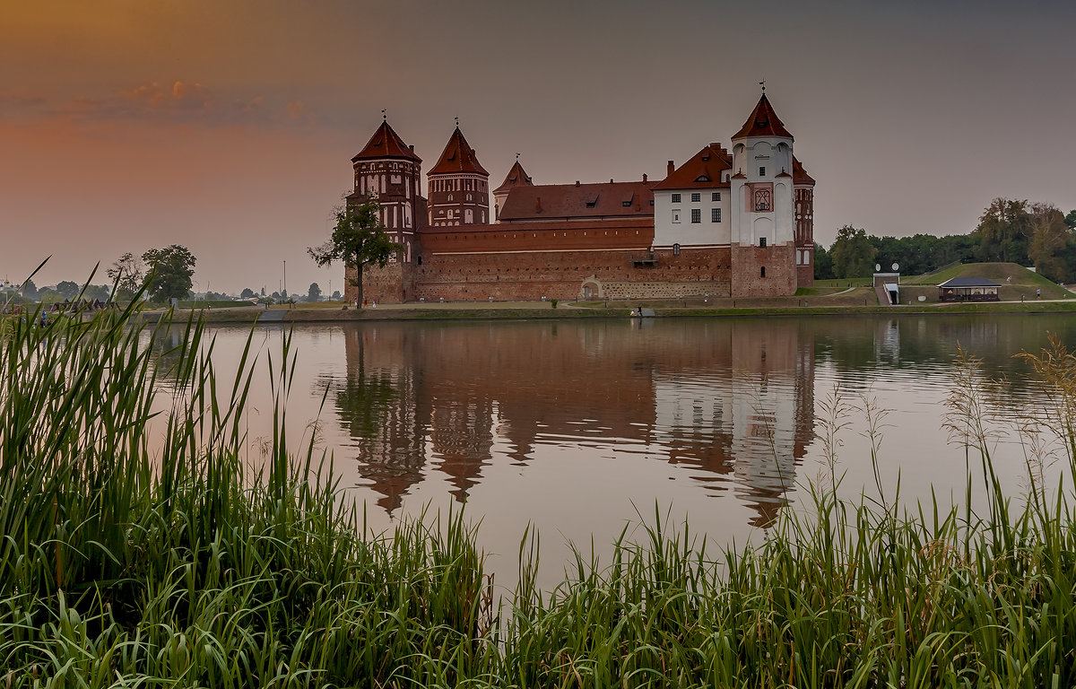 *** - Николай Климович