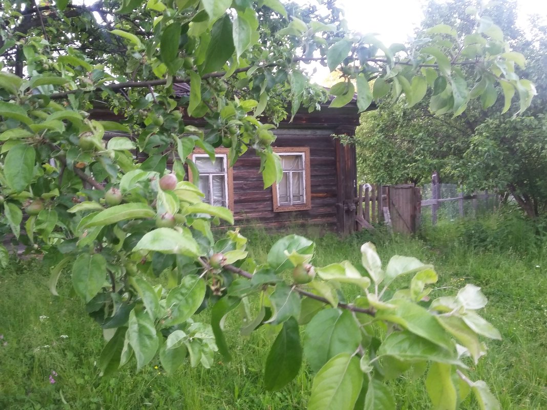 домик с окнами в сад - Александра Андреева