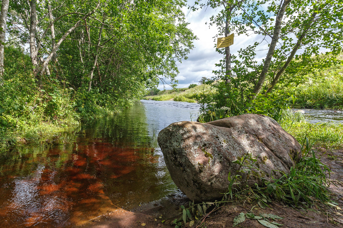 *** - Александр Кислицын