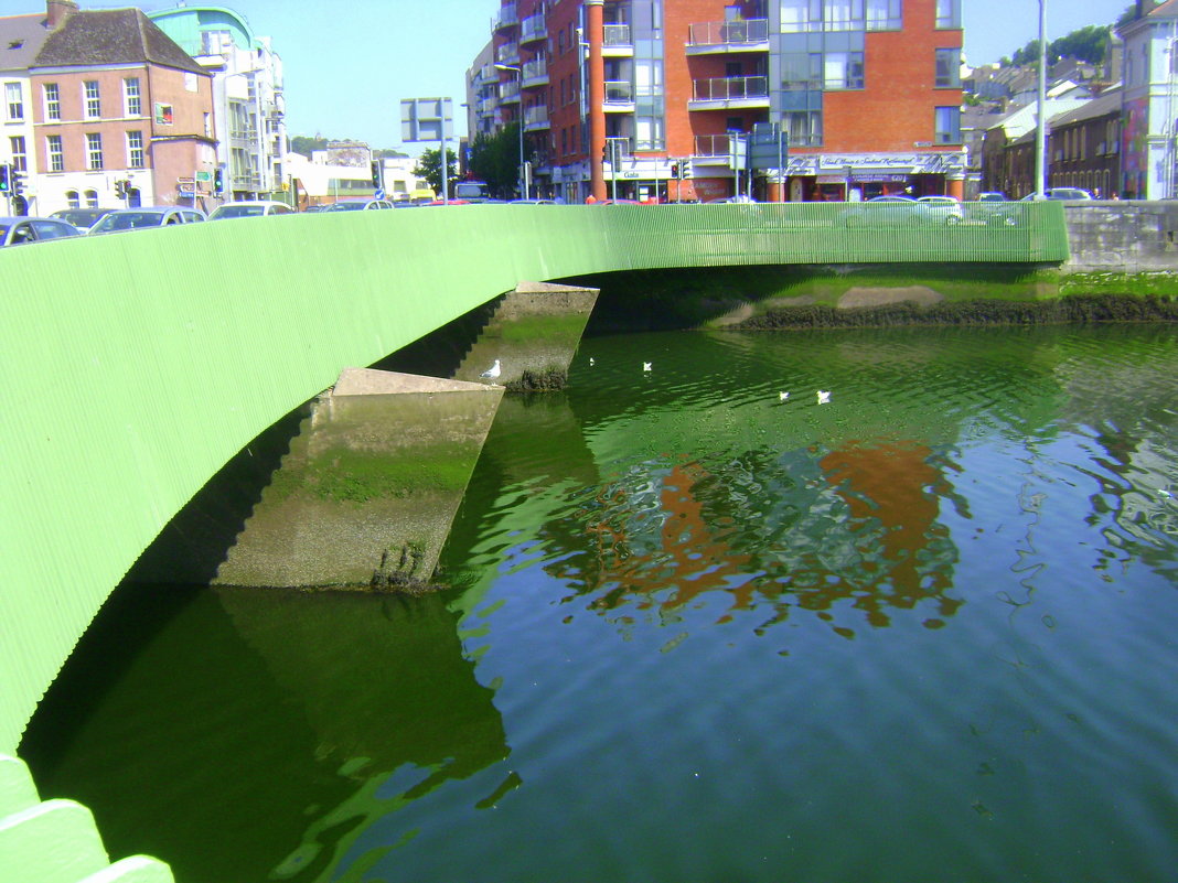 Зеленый мост на зеленой реке Ли - Марина Домосилецкая