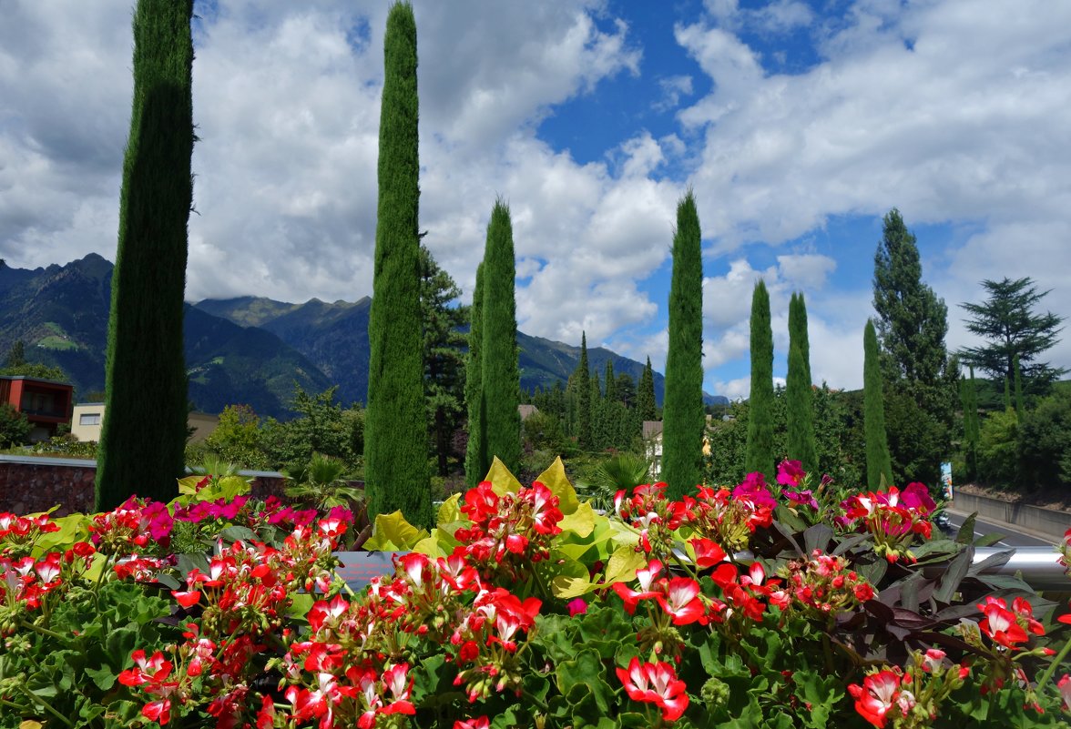 Удивительной красоты сады замка Трауттмансдорф...(Италия) - Galina Dzubina
