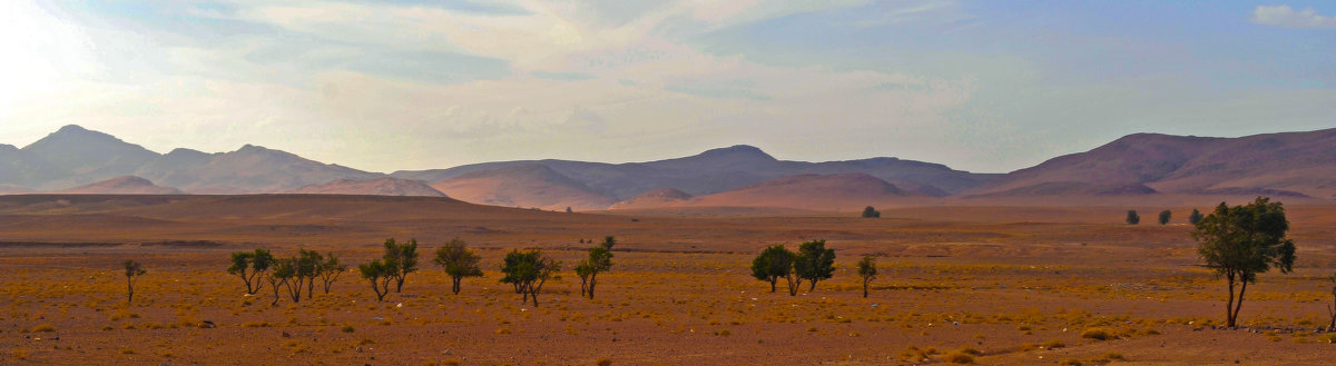 Неподалеку от Сахары - Роберт Гресь