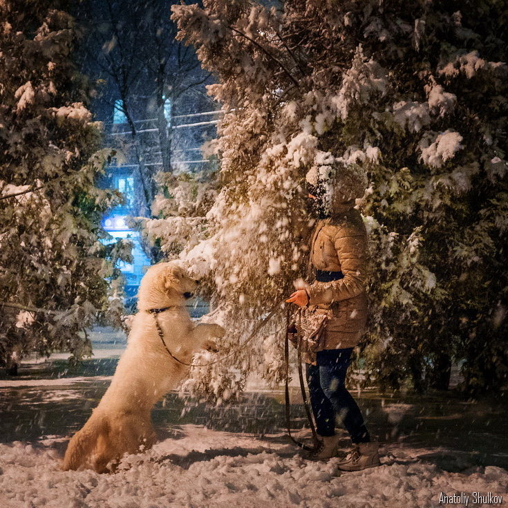 Лови снег - Анатолий Шулков