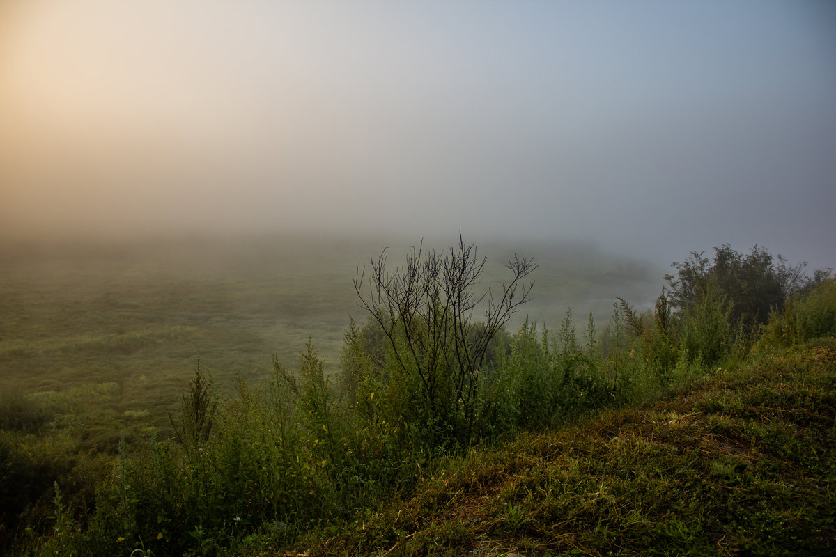 Утренний туман - Алёнка Шапран
