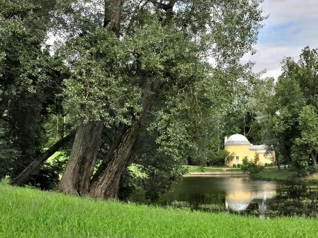 Павловский парк - Наталья 