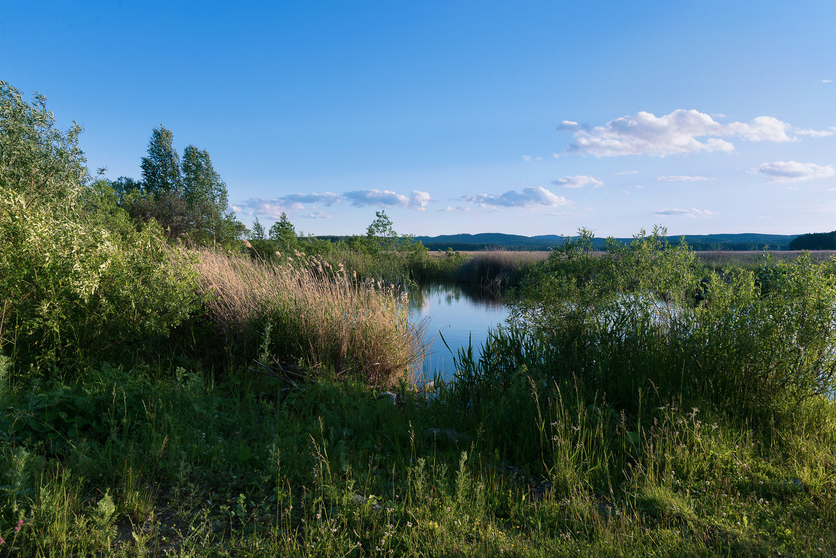 . - Александр К.