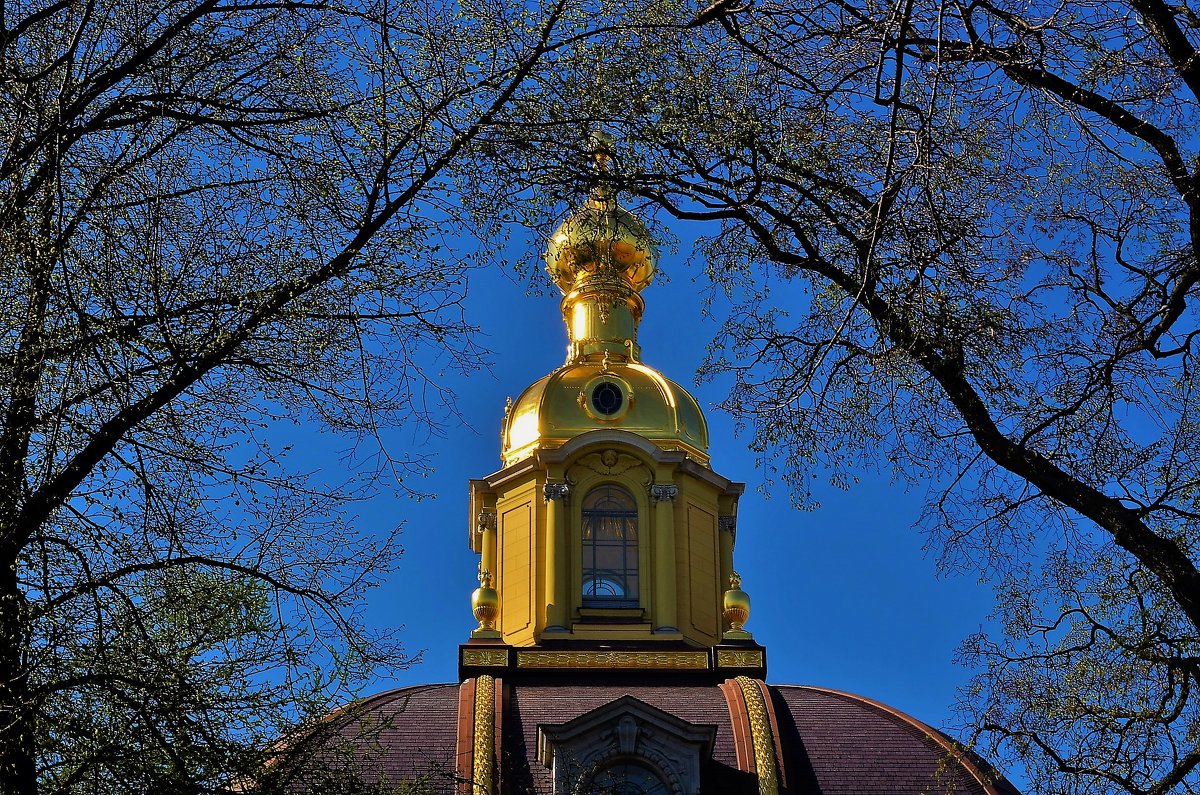 Золотой купол Великокняжеской усыпальницы и весна... - Sergey Gordoff