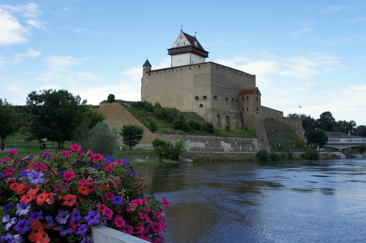 Нарвский замок - Замок Германа - Елена Павлова (Смолова)