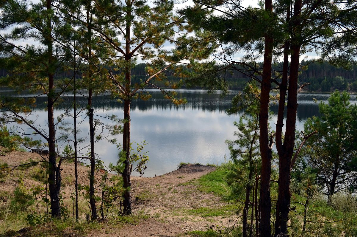 Озеро в лесу - Вера Андреева