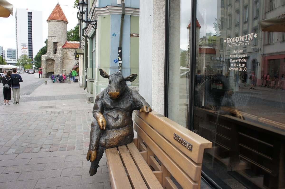 Скульптура коровы в Таллине - Елена Павлова (Смолова)