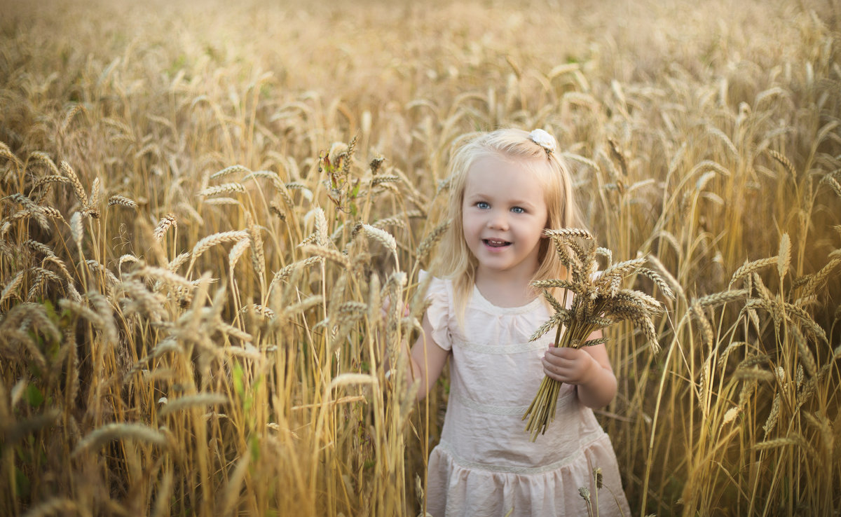 Пшеничный рай - Tatiana Bobrikova 