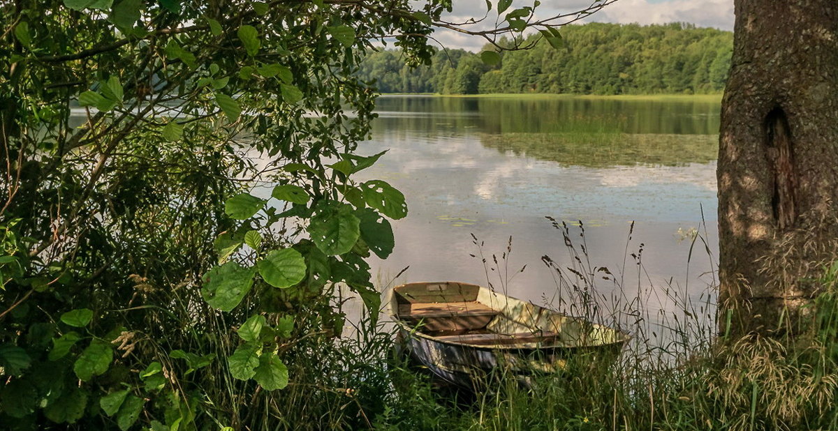 Притаилась - Владимир Гилясев