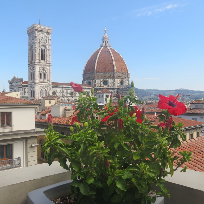 Firenze. Вид с крыши - Людмила 