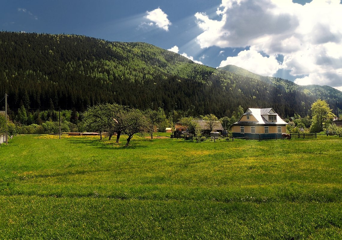 Карпатское село - Роман Савоцкий