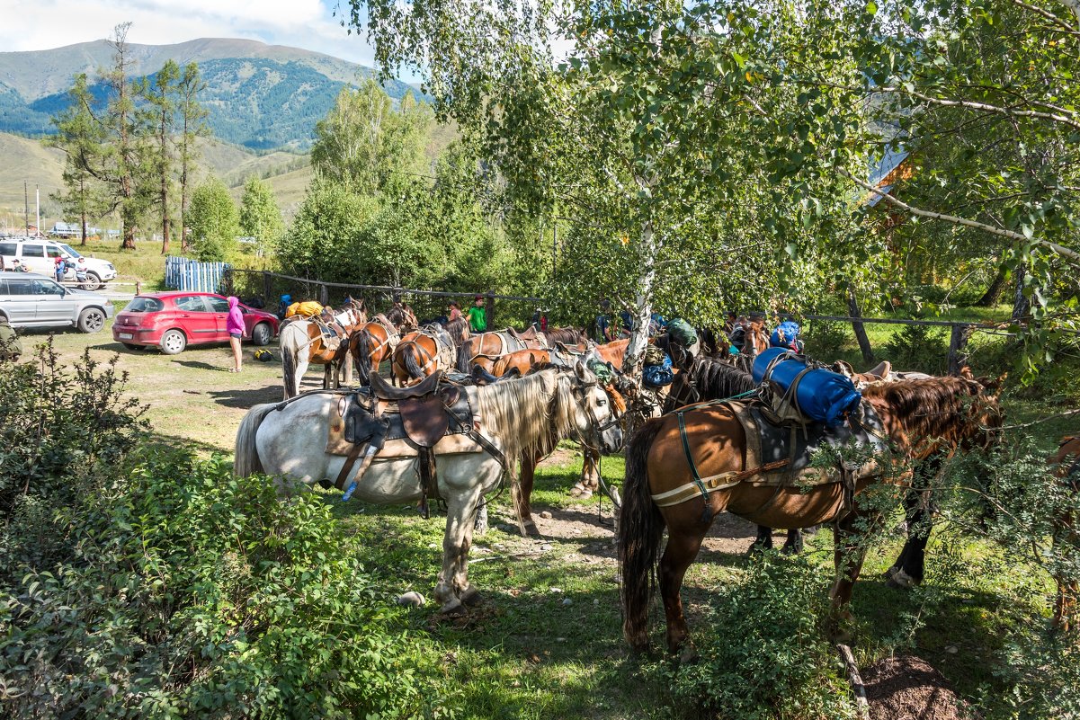 На старте. - Ирина Токарева