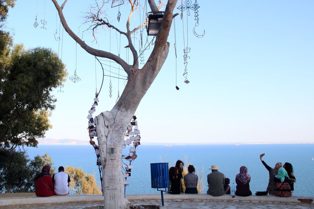 Sidi Bou Said - Annie Amar