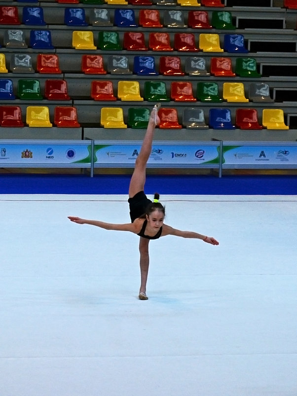 Фигурная гимнастика - Андрей + Ирина Степановы