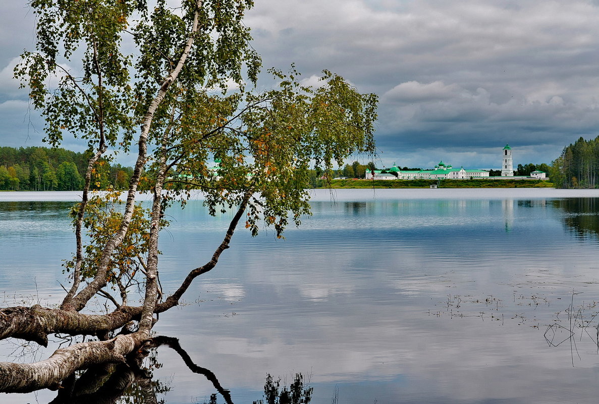 Взгляд по озеру - Александр Зиновьев