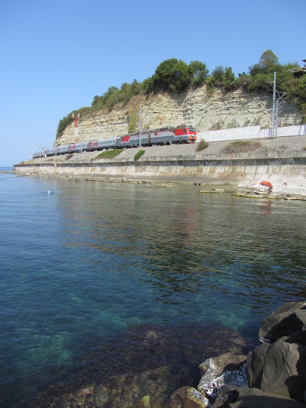 Морской пейзаж с поездом - Виталий Купченко