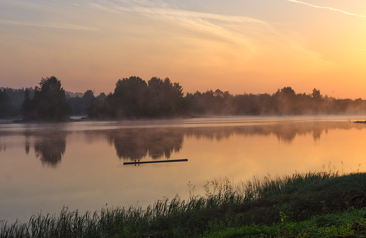 В утреннем тумане - Galina 