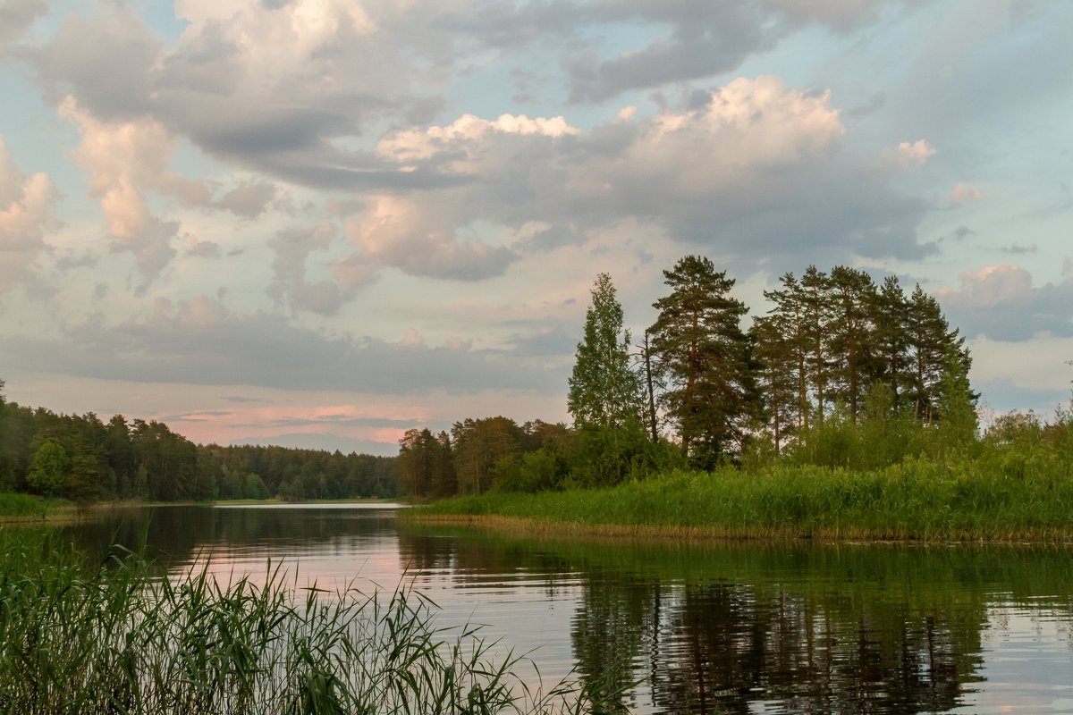 Озеро Дедово Навашинский район