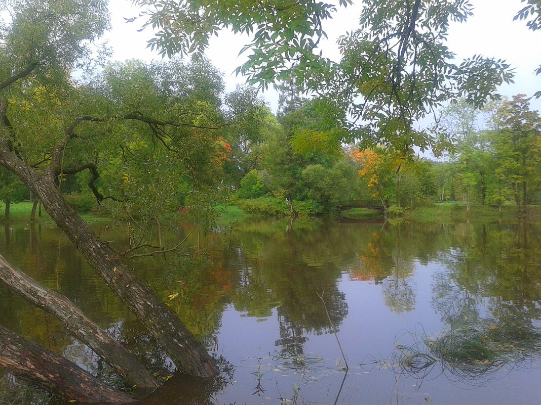 Осень - Сапсан 