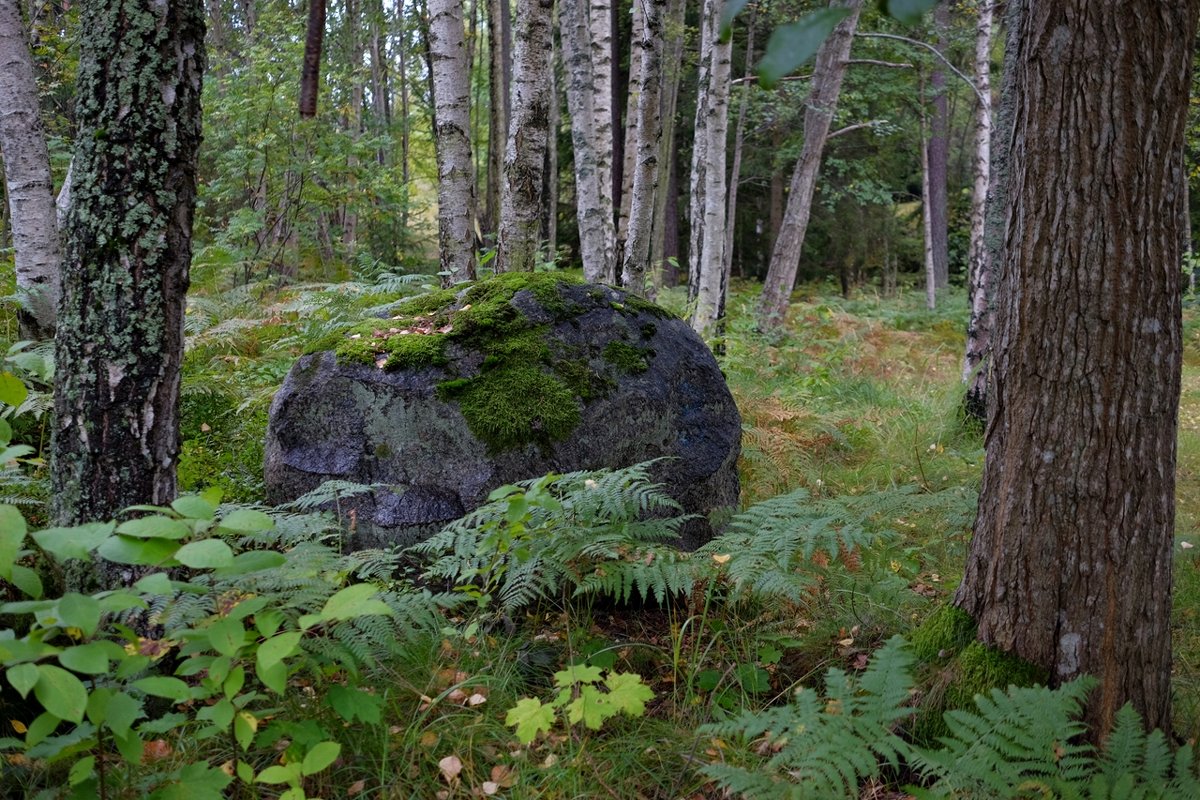 Природа Швеции - wea *