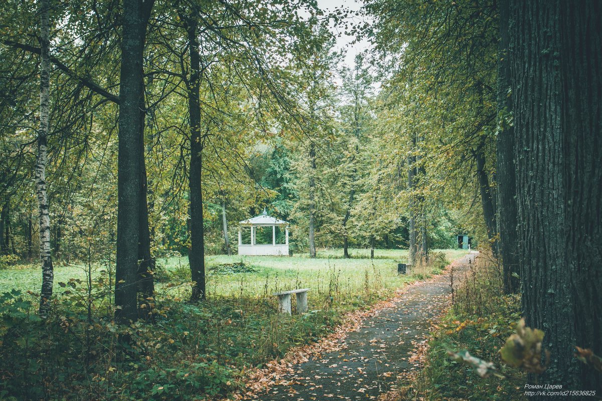 В усадьбе Карамзиных - Роман Царев