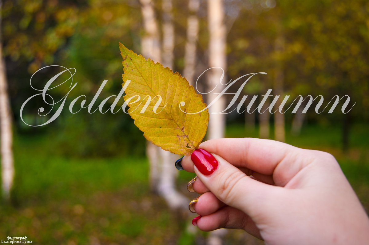 Золотая Осень - Екатерина Гуща