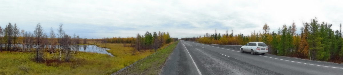 Осень на Ямале.. (новая дорога) - Леонид Балатский