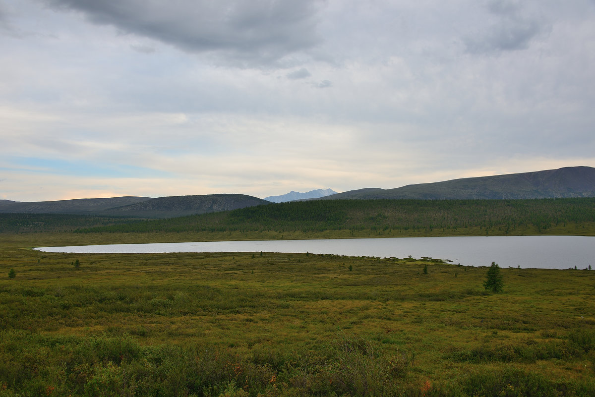 *** - Александр Хаецкий