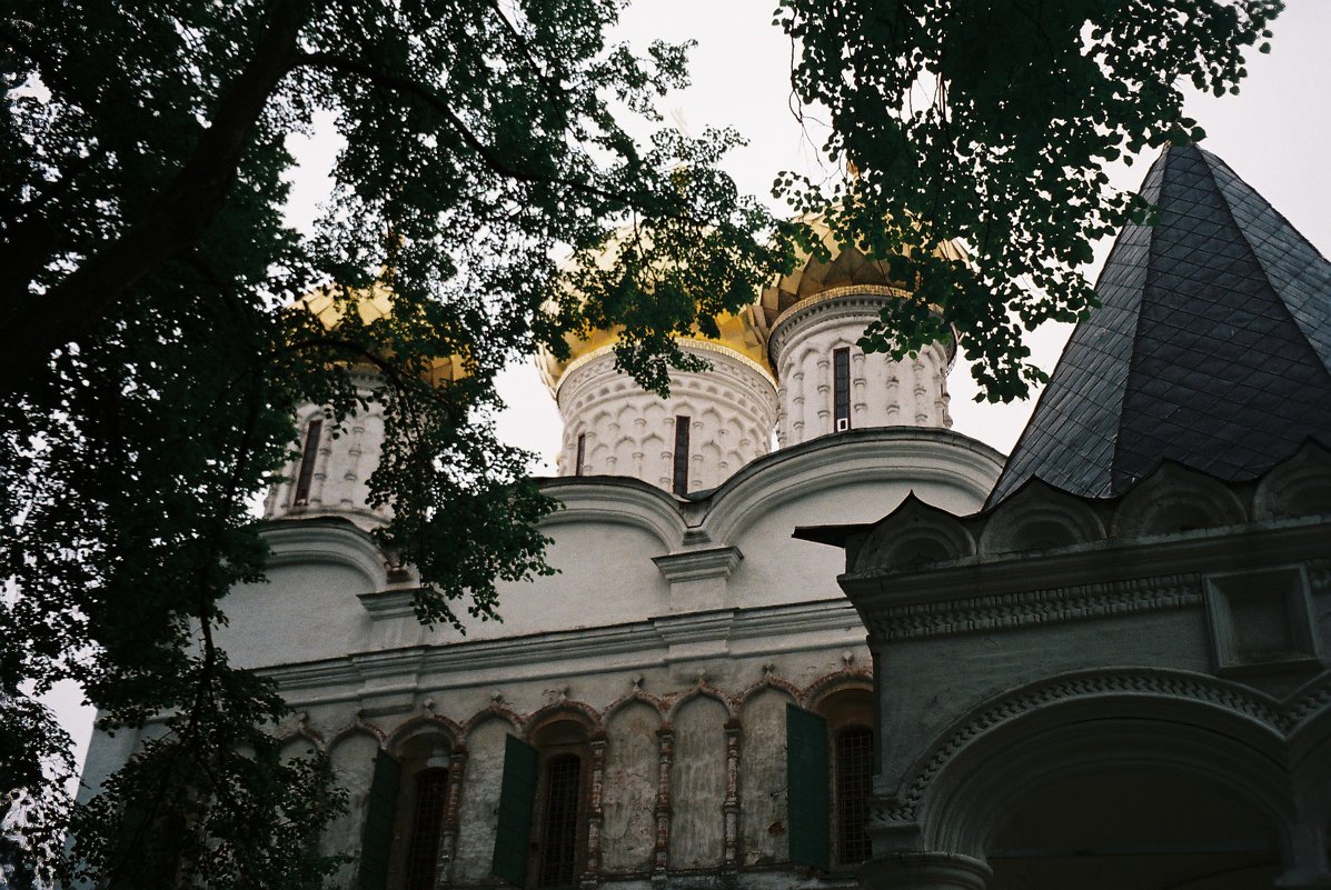 ипатьевский монастырь летом - Димончик 
