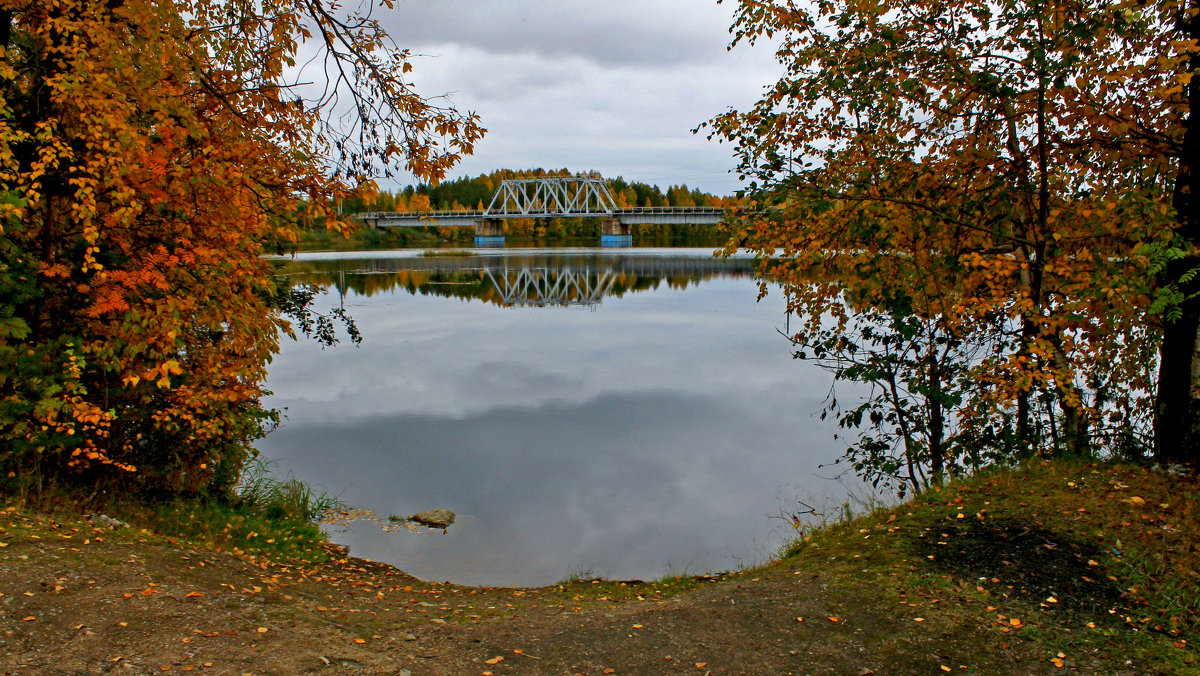 * - Анжела Пасечник