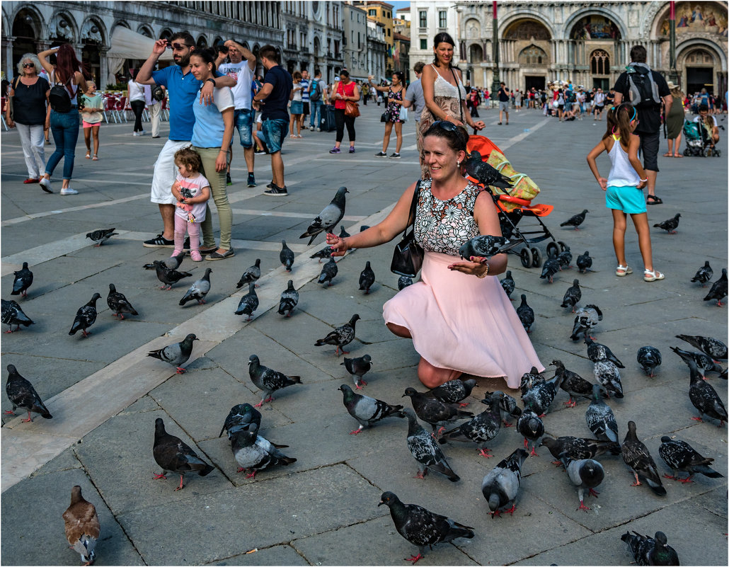 Стаи голубей - одна из визитных карточек Сан Марко - Виктор Льготин