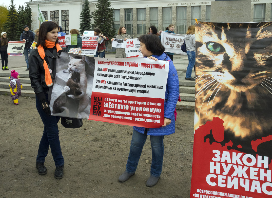 Северодвинск. Митинг в защиту животных (3) - Владимир Шибинский