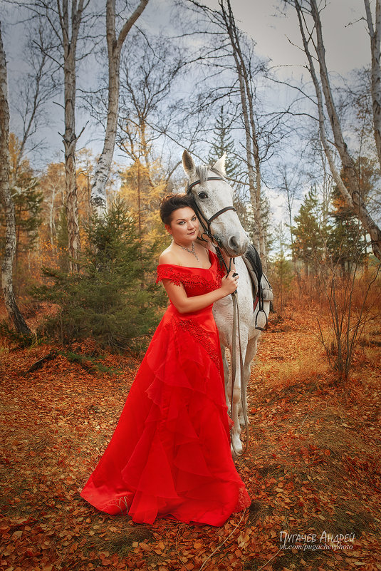 Lady in Red - Андрей Пугачев