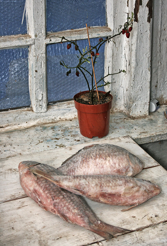 Мороженая рыба - Наталья S