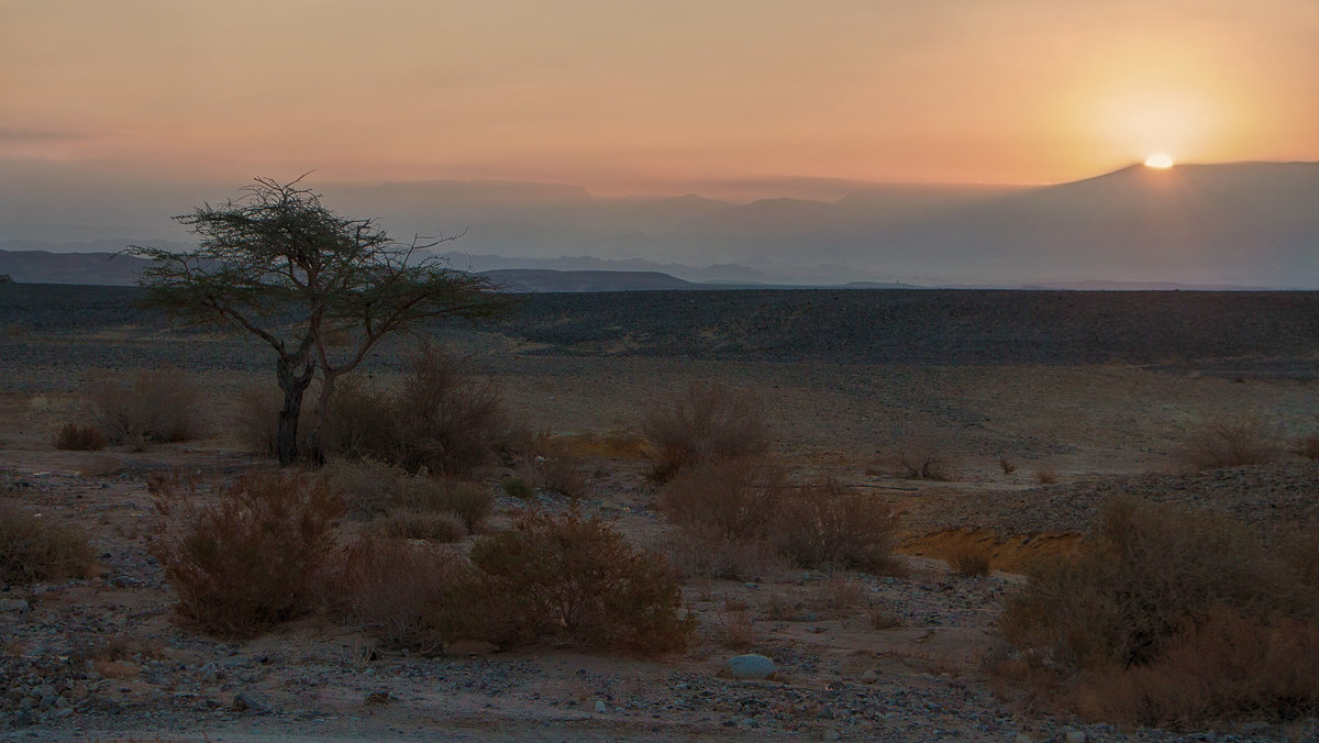рассвет в пустыне - svabboy photo