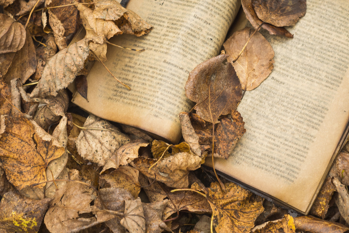 Осенние листья и книжка - Татьяна Шторм