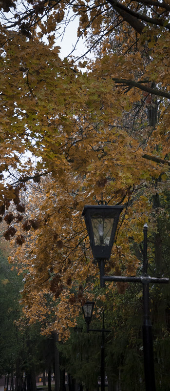 Осень Фонарь Фото