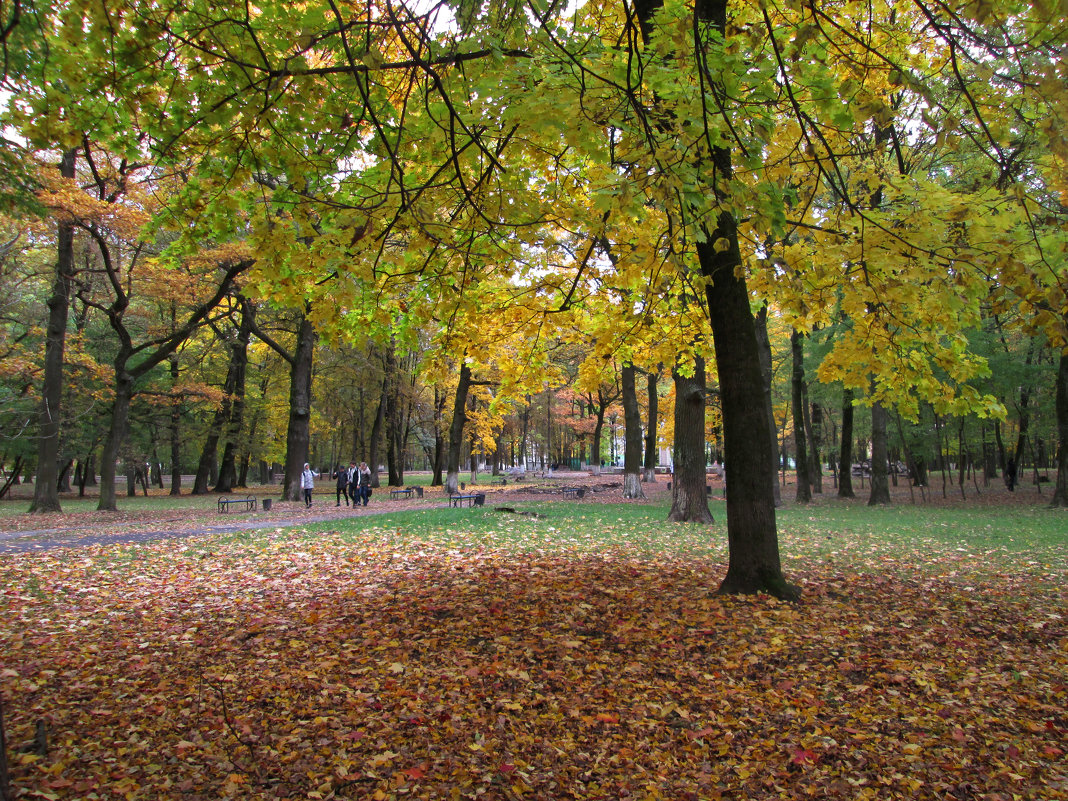 *** - Валентина Береснева