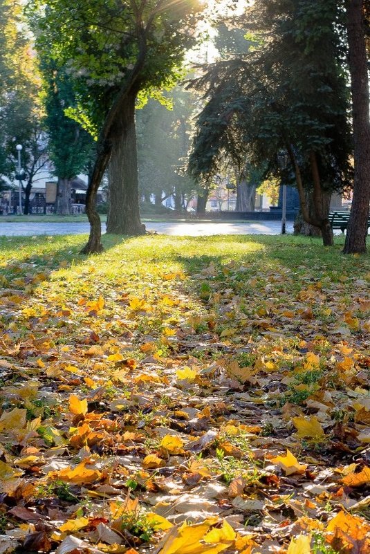 Осень - Александр Крупский